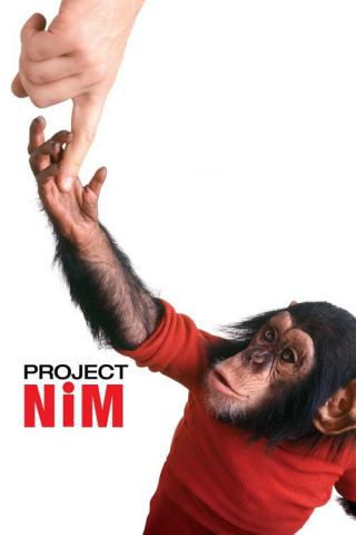 Проект 'Ним' (2011)