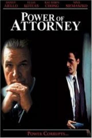 Адвокат как доверенное лицо (1995)