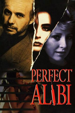 Идеальное алиби (1995)