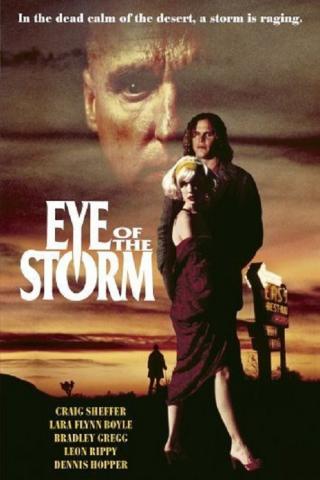 Глаза шторма (1991)