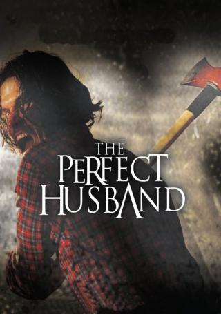 Идеальный муж (2014)
