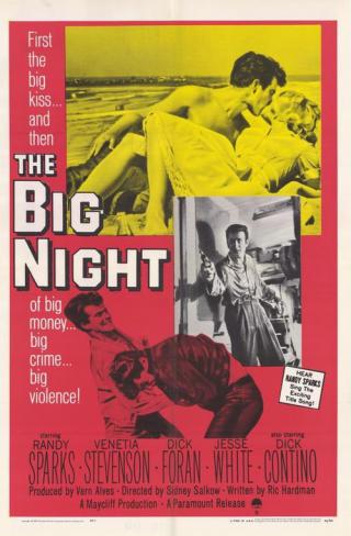Бурная ночь (1960)