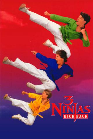 Три ниндзя наносят ответный удар (1994)