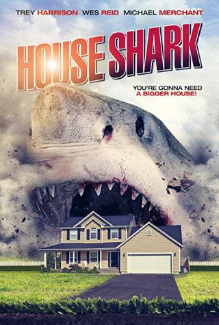Домашняя акула (2017)