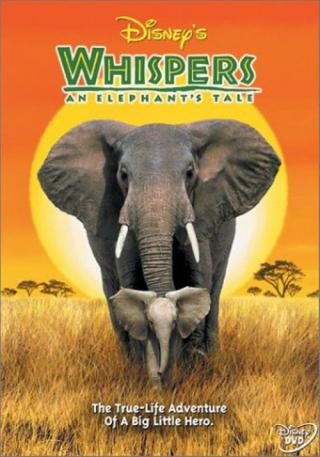 Приключения слона (2000)