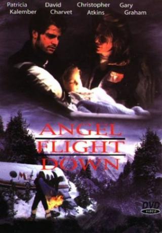 Падение ангела (1996)