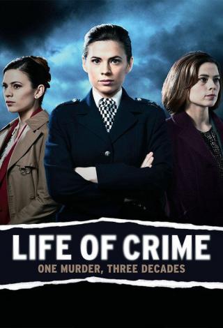 Преступная жизнь (2013)