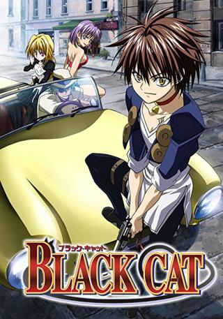 Черный кот (2005)