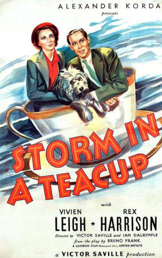 Буря в стакане воды (1937)
