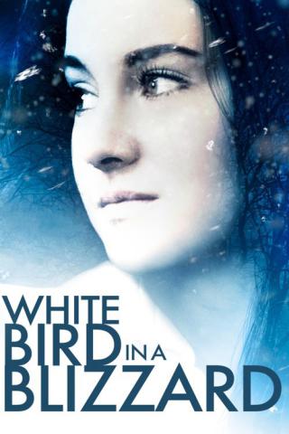 Белая птица в метели (2014)
