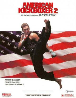 Американский кикбоксер 2 (1993)