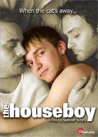 Домашний мальчик (2007)