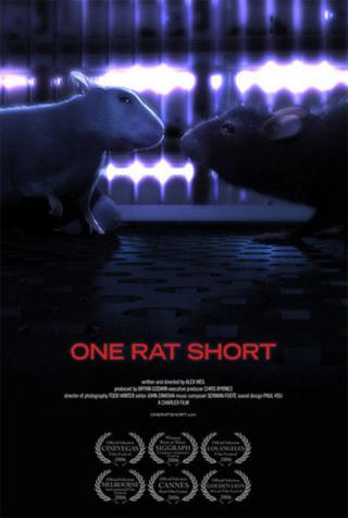 История одной крысы (2006)
