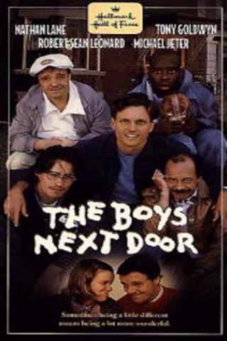 Соседские мальчишки (1996)