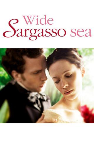 Широкое Саргассово море (2006)