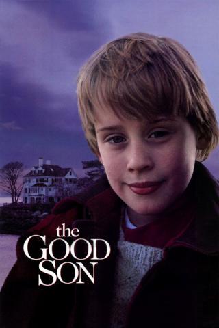 Добрый сынок (1993)