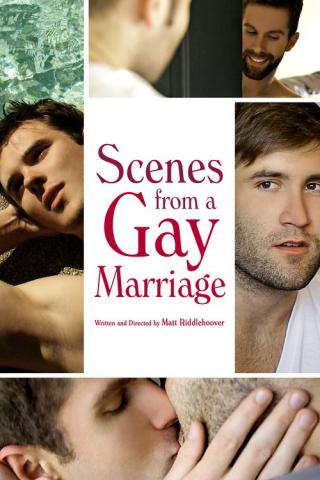 Сцены гей-брака (2012)