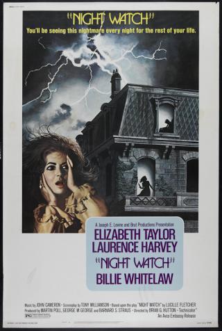 Ночной дозор (1973)