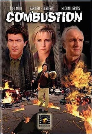 Возгорание (2004)