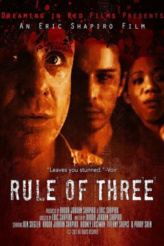 Правило трёх (2008)
