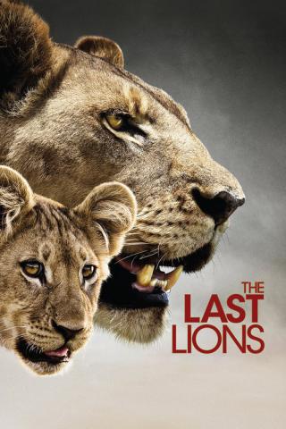 Последняя львица (2011)