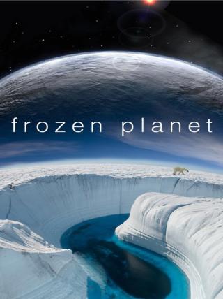 Замёрзшая планета (2011)
