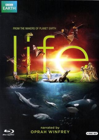 Жизнь (2009)