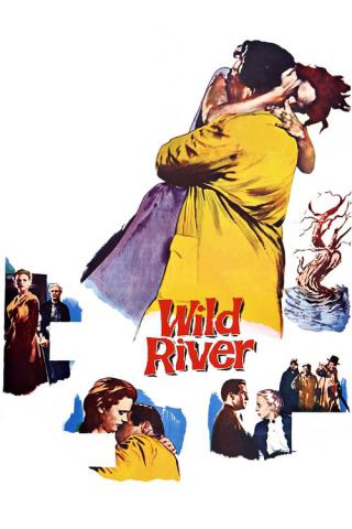Дикая река (1960)