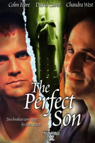 Идеальный сын (2000)