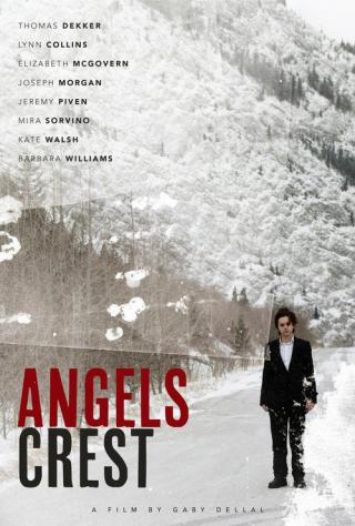 Герб ангелов (2011)