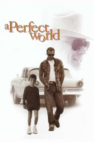 Совершенный мир (1993)