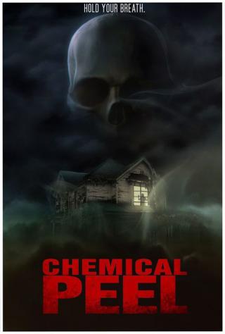 Химическая чистка (2014)