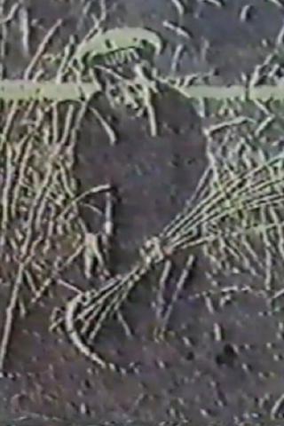 Ангел жатвы (1992)