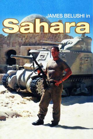 Сахара (1995)