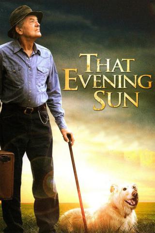 Это вечернее солнце (2009)