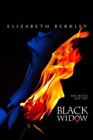 Черная вдова (2008)