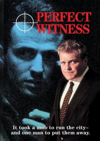 Идеальный свидетель (1989)