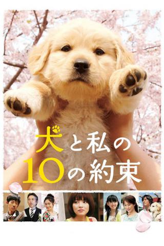 10 обещаний моей собаке (2008)