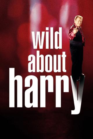 История о Гарри (2000)