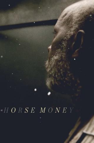 Лошадь Деньги (2014)