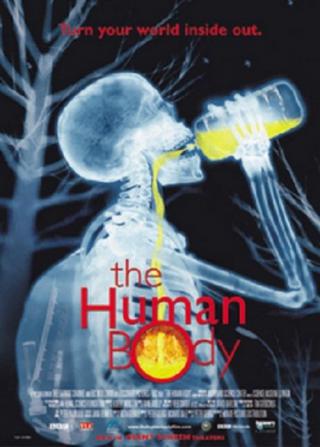 Человеческое тело (2001)