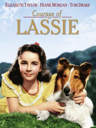 Храбрость Лэсси (1946)
