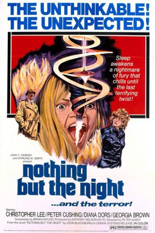 Ничего, кроме ночи (1973)