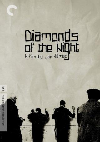 Алмазы ночи (1964)
