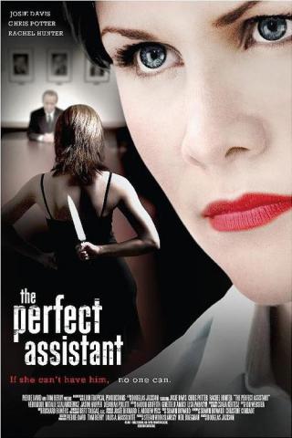Само совершенство (2008)
