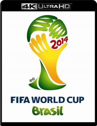 Чемпионат мира по футболу (2014)