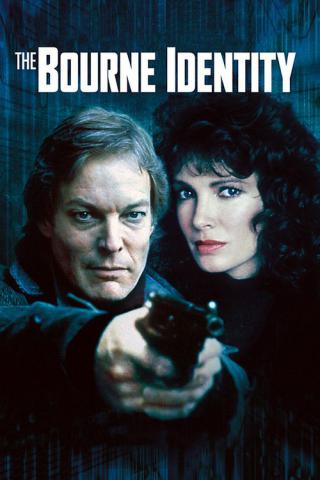 Идентификация Борна (1988)