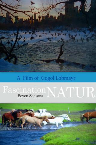 Очарование природой 1: Красивейшие виды Земли (1996)