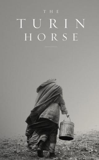 Туринская лошадь (2011)