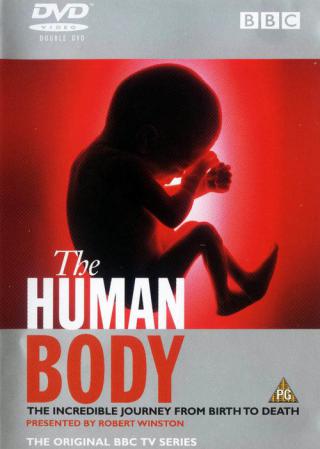 Тело человека (1998)